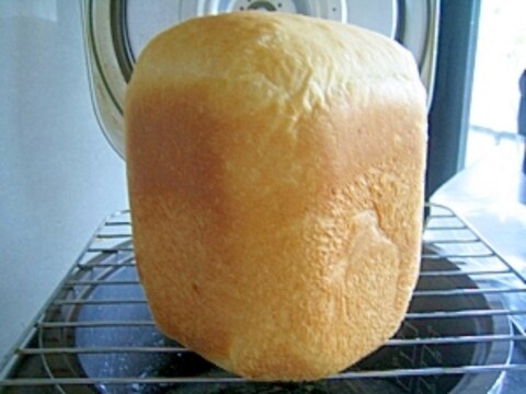 塩麹パンといつものパンを比べてみた！